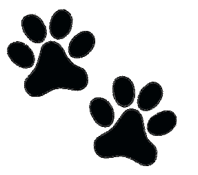 Etched In My Heart Cremation Urn Paws2heaven Pet Urns Memorials That Help You Heal