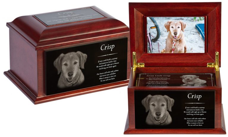 pet urns for dogs