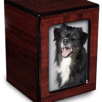 Paws2Heaven Luxury Pet Urns – Find the perfect urn for your pet